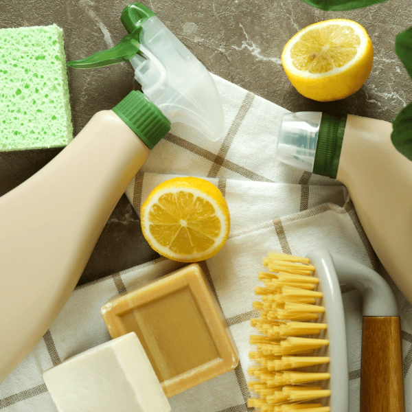 eco friendly cleaning equipment